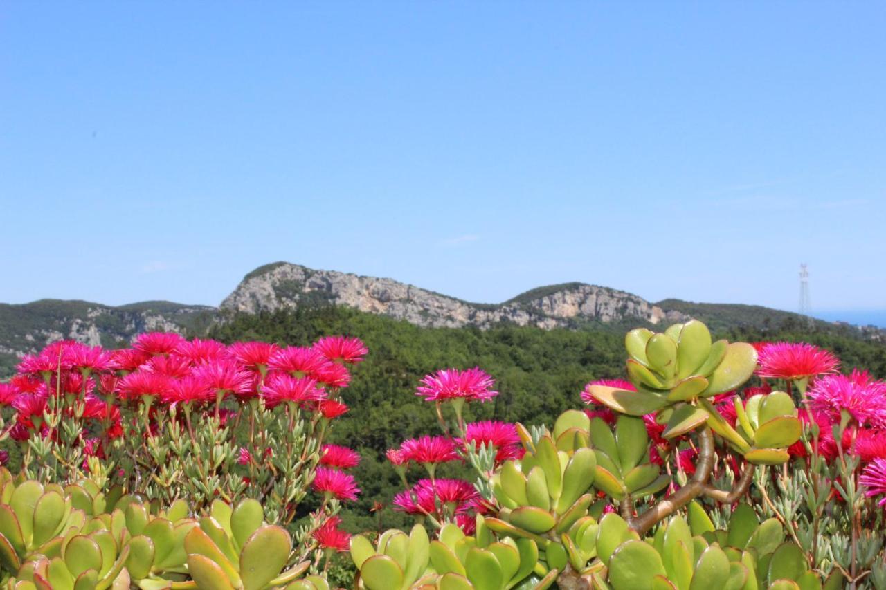 Segni E Impronta Bed & Breakfast Finale Ligure Dış mekan fotoğraf