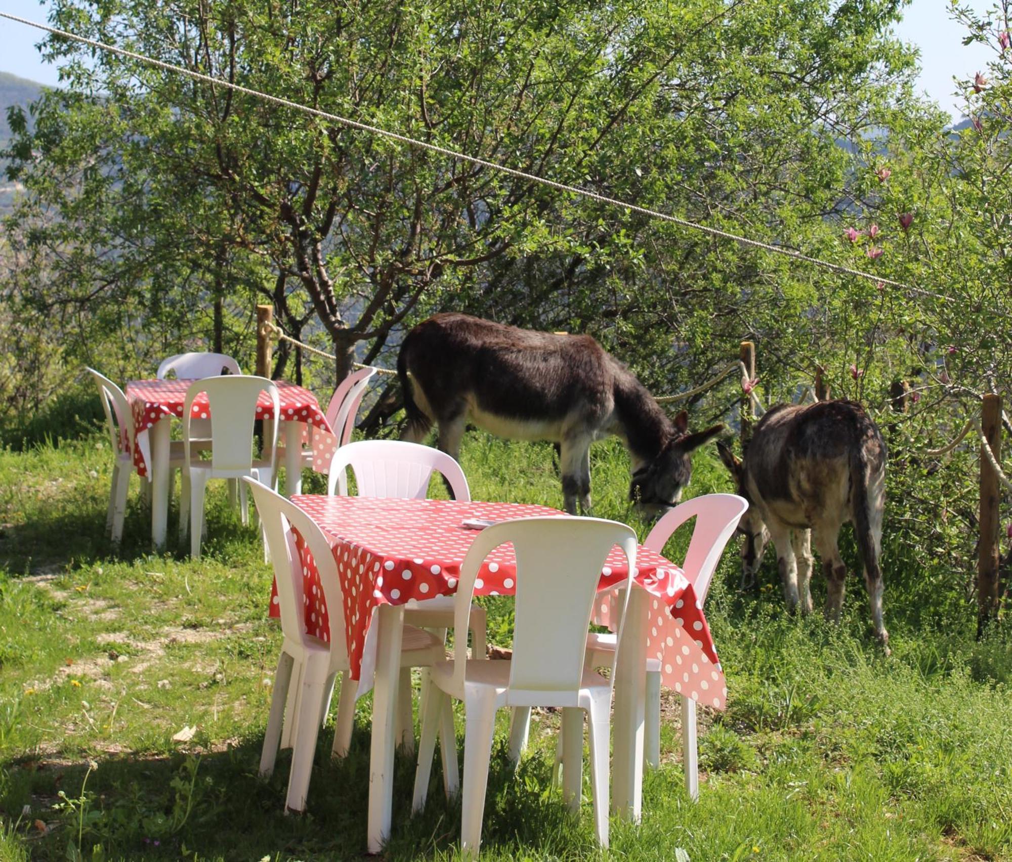 Segni E Impronta Bed & Breakfast Finale Ligure Dış mekan fotoğraf