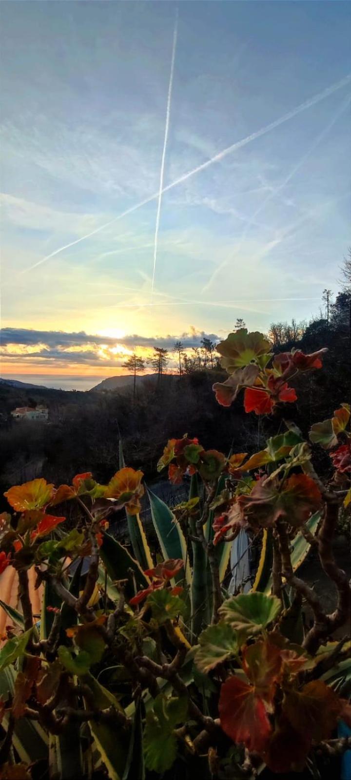 Segni E Impronta Bed & Breakfast Finale Ligure Dış mekan fotoğraf