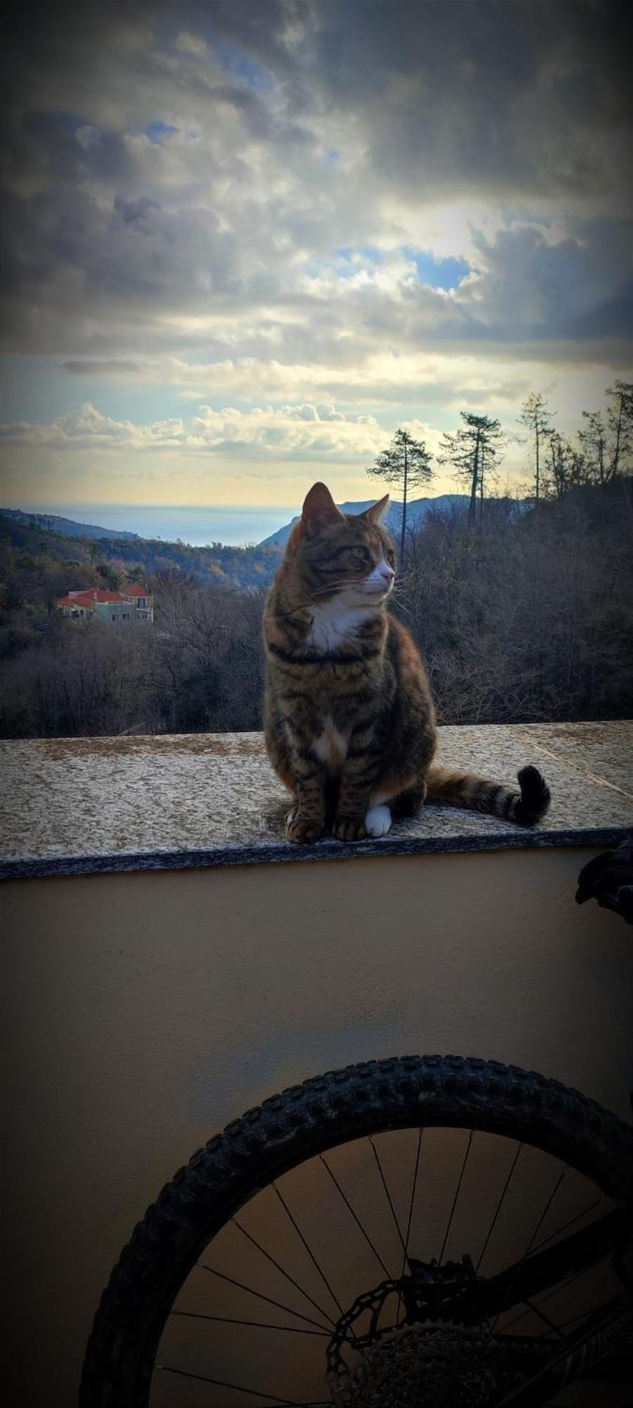 Segni E Impronta Bed & Breakfast Finale Ligure Dış mekan fotoğraf
